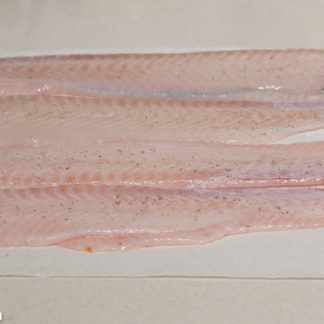 Fresh Sole Fillet Fish