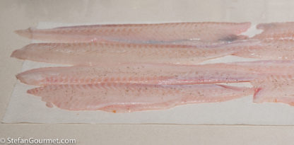 Fresh Sole Fillet Fish