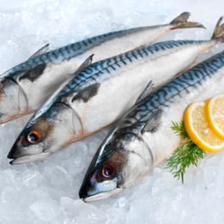 Fresh Fish